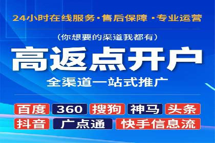 百度竞价与搜索引擎优化（SEO）结合的经典案例
